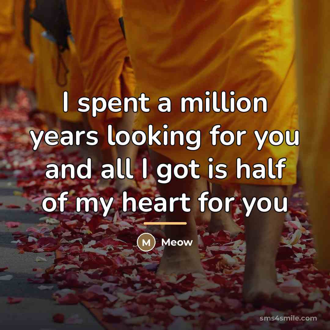“I spent a million years looking for you and all…” quote by Meow