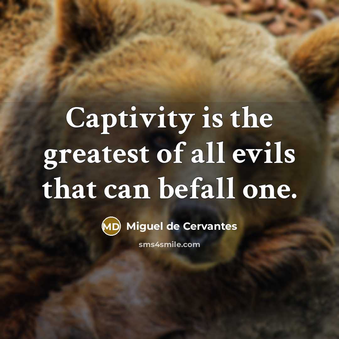 “Captivity is the greatest of all evils that can befall…” quote by Miguel de Cervantes