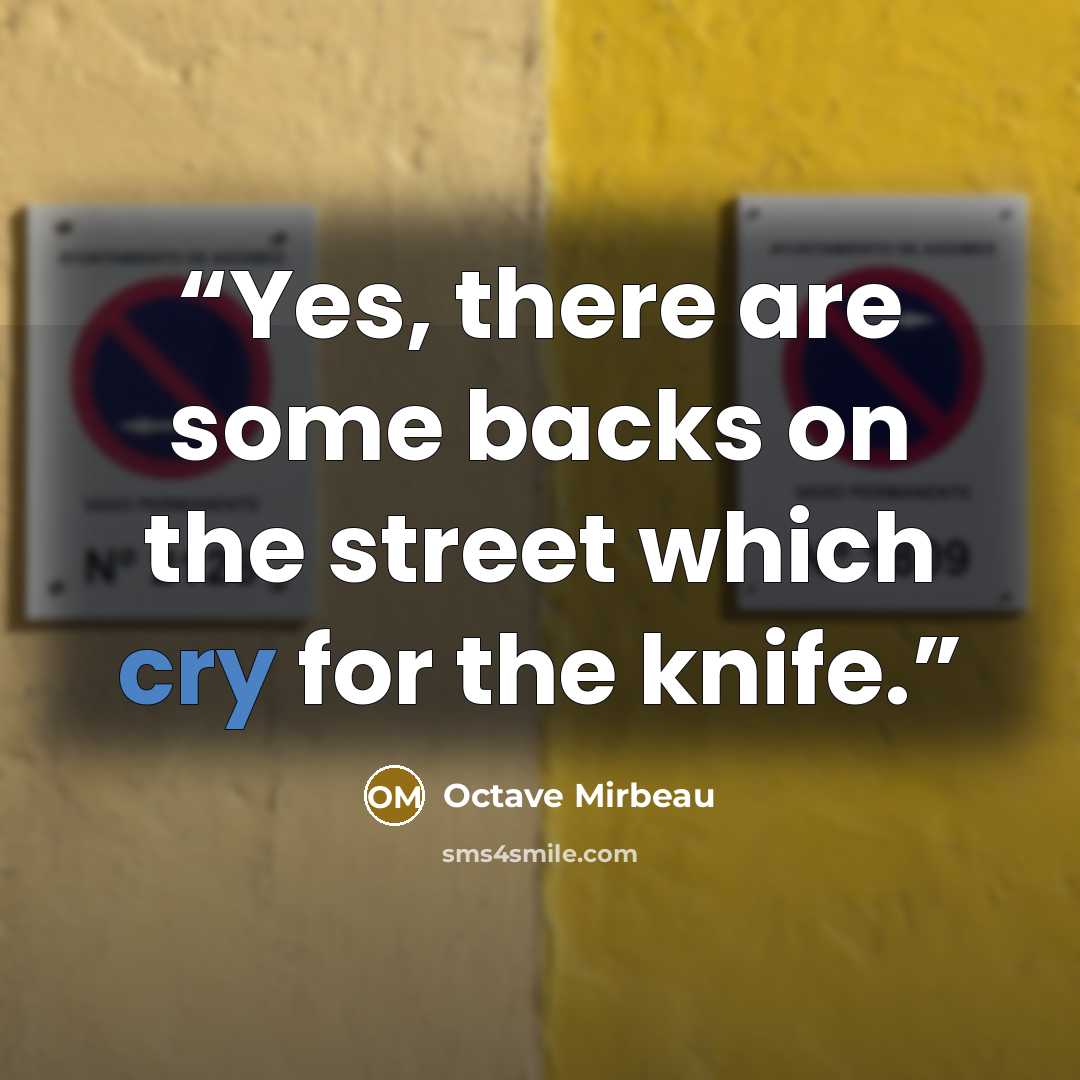 “Yes, there are some backs on the street which cry for the knife.” quote by Octave Mirbeau