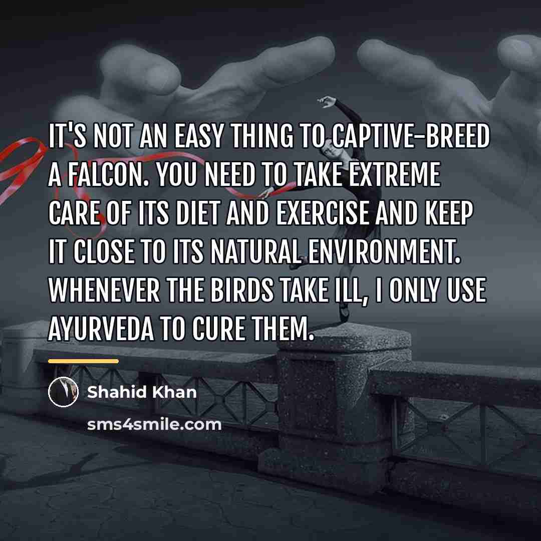 “It's not an easy thing to captive-breed a falcon. You…” quote by Shahid Khan