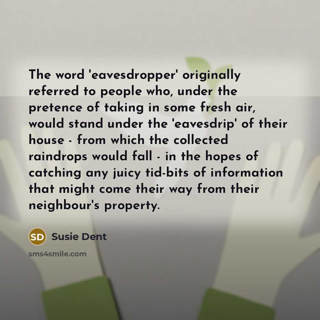 “The word 'eavesdropper' originally referred to people who, under the…” quote by Susie Dent