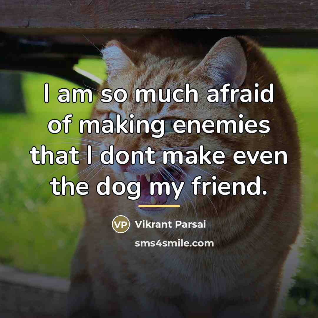 “I am so much afraid of making enemies that I…” quote by Vikrant Parsai