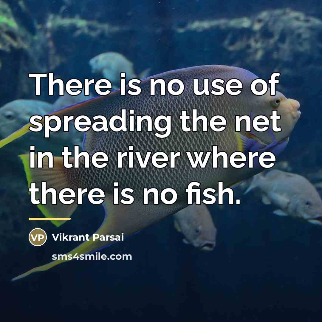 “There is no use of spreading the net in the…” quote by Vikrant Parsai