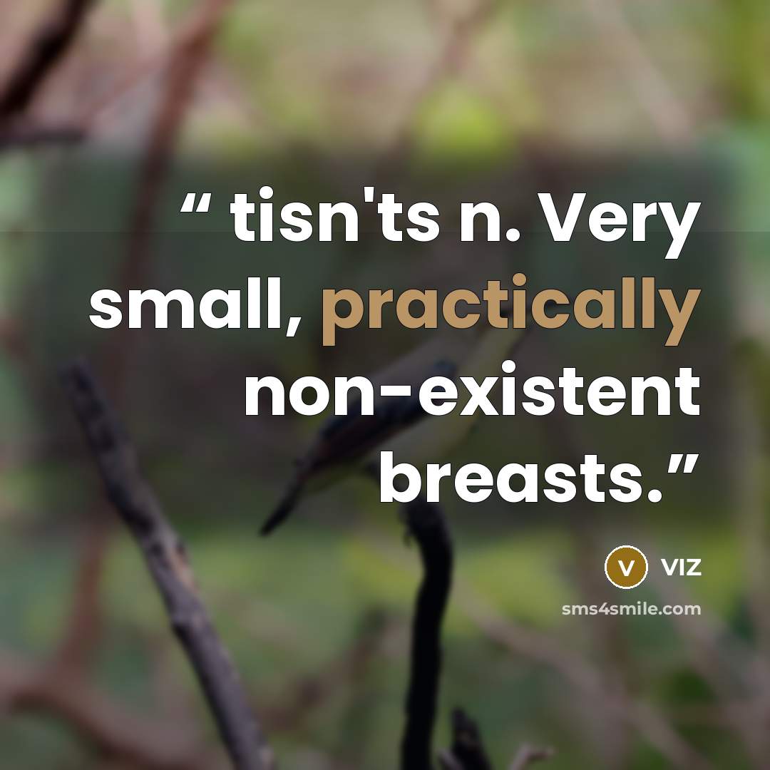 “tisn'ts n. Very small, practically non-existent breasts.” quote by VIZ