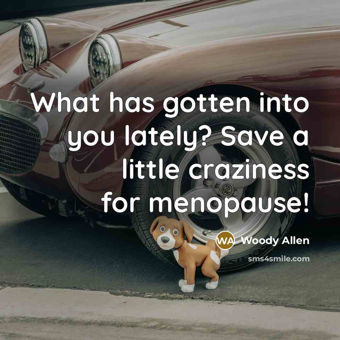 “What has gotten into you lately? Save a little craziness…” quote by Woody Allen