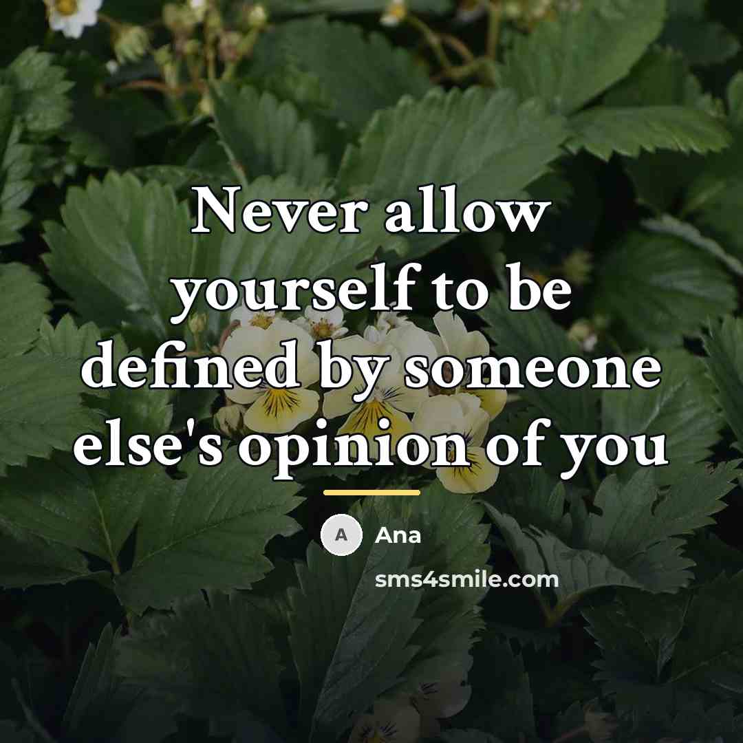 “Never allow yourself to be defined by someone else's opinion…” quote by Ana