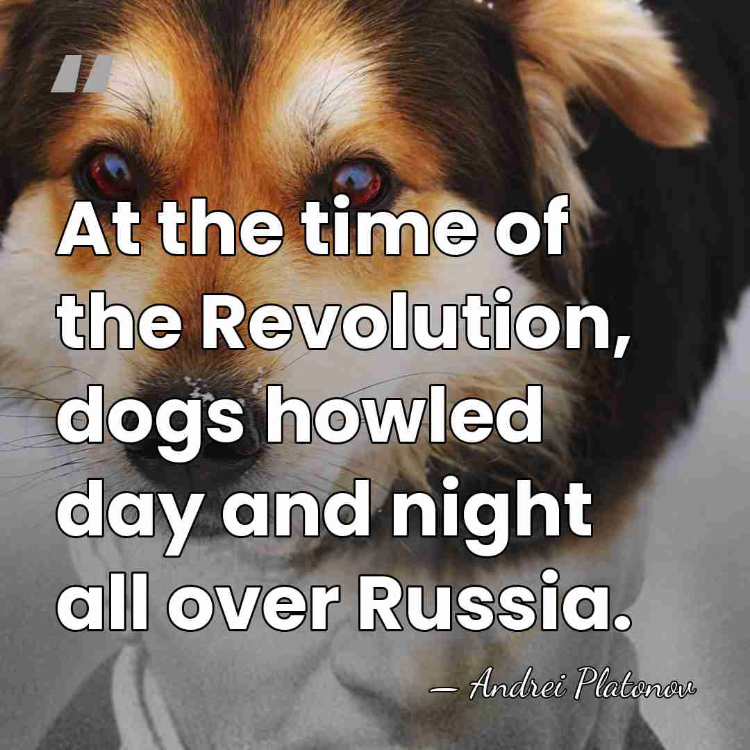 At the time of the Revolution, dogs howled day and night all&hellip; - Andrei Platonov