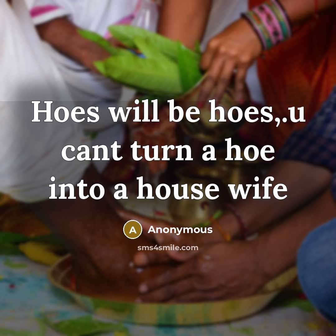 “Hoes will be hoes,.u cant turn a hoe into a house wife” quote by Anonymous