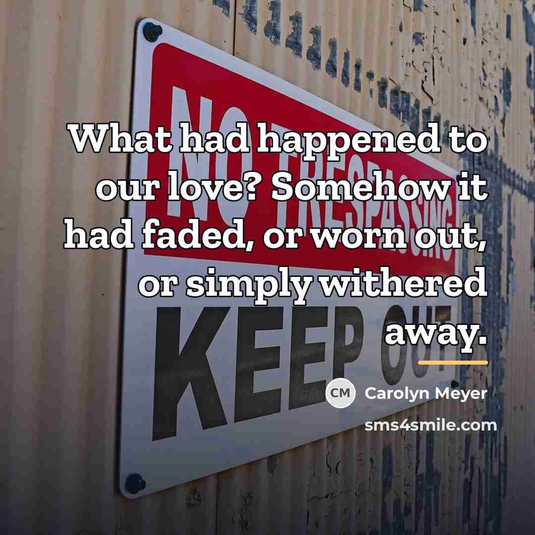 “What had happened to our love? Somehow it had faded,…” quote by Carolyn Meyer