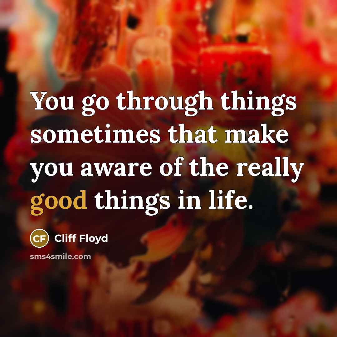 “You go through things sometimes that make you aware of…” quote by Cliff Floyd