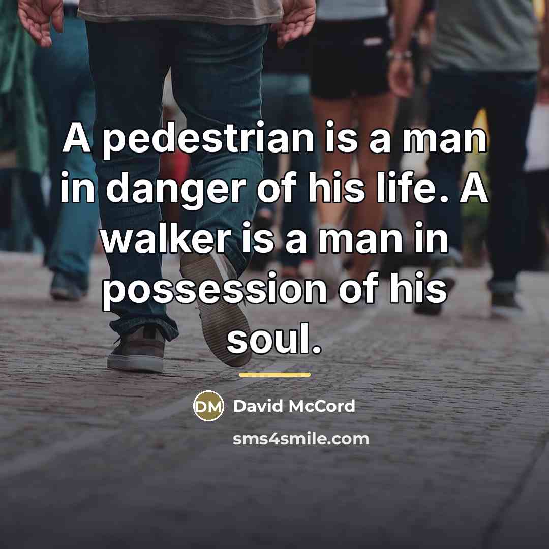 “A pedestrian is a man in danger of his life.…” quote by David McCord