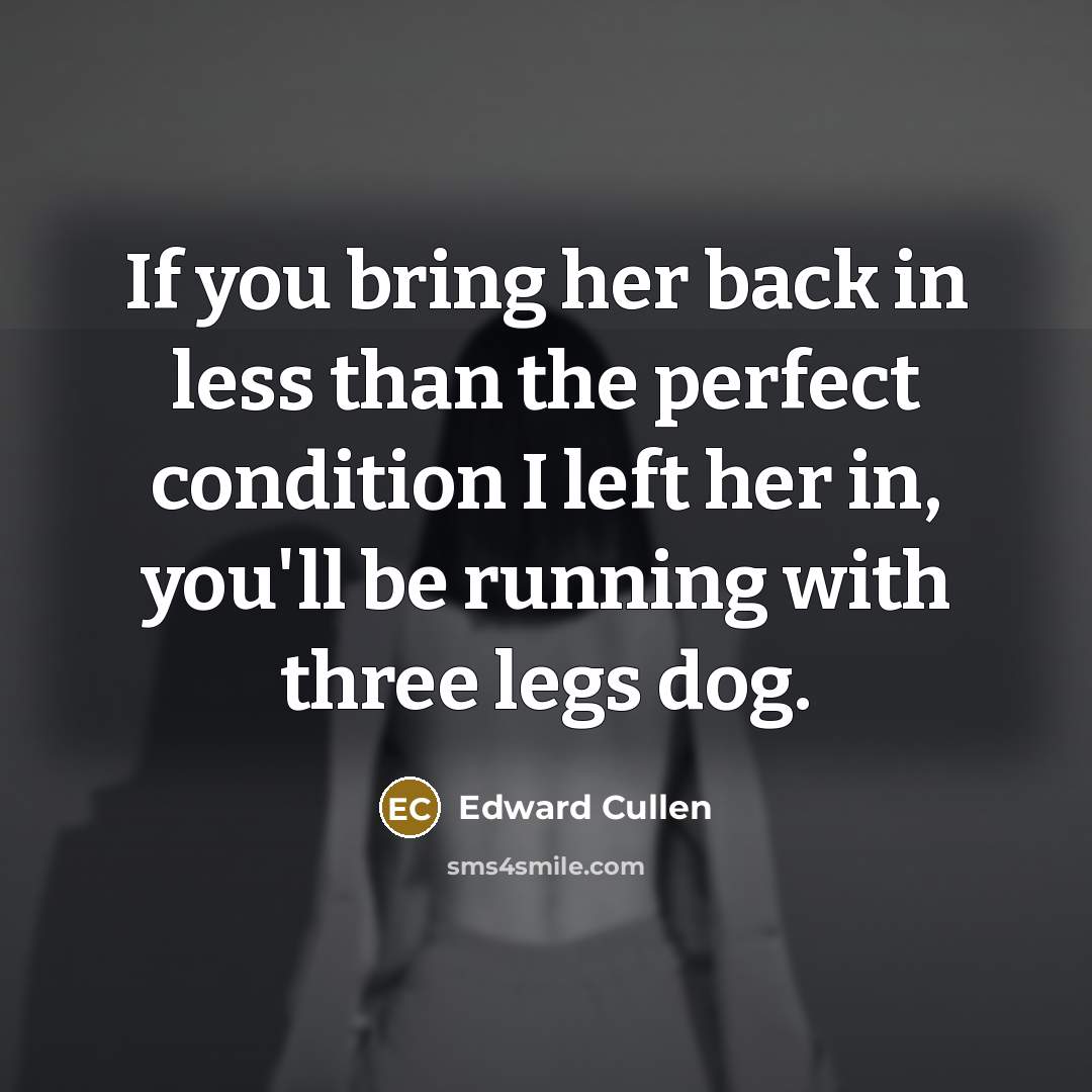 “If you bring her back in less than the perfect condition I left her in, you'll be running with three legs dog.” quote by Edward Cullen