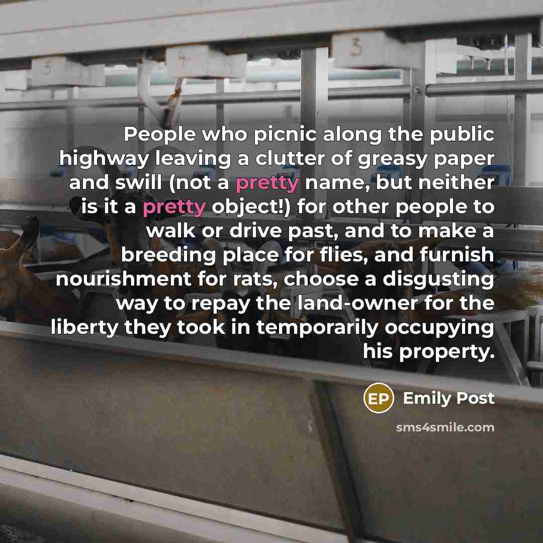 “People who picnic along the public highway leaving a clutter…” quote by Emily Post
