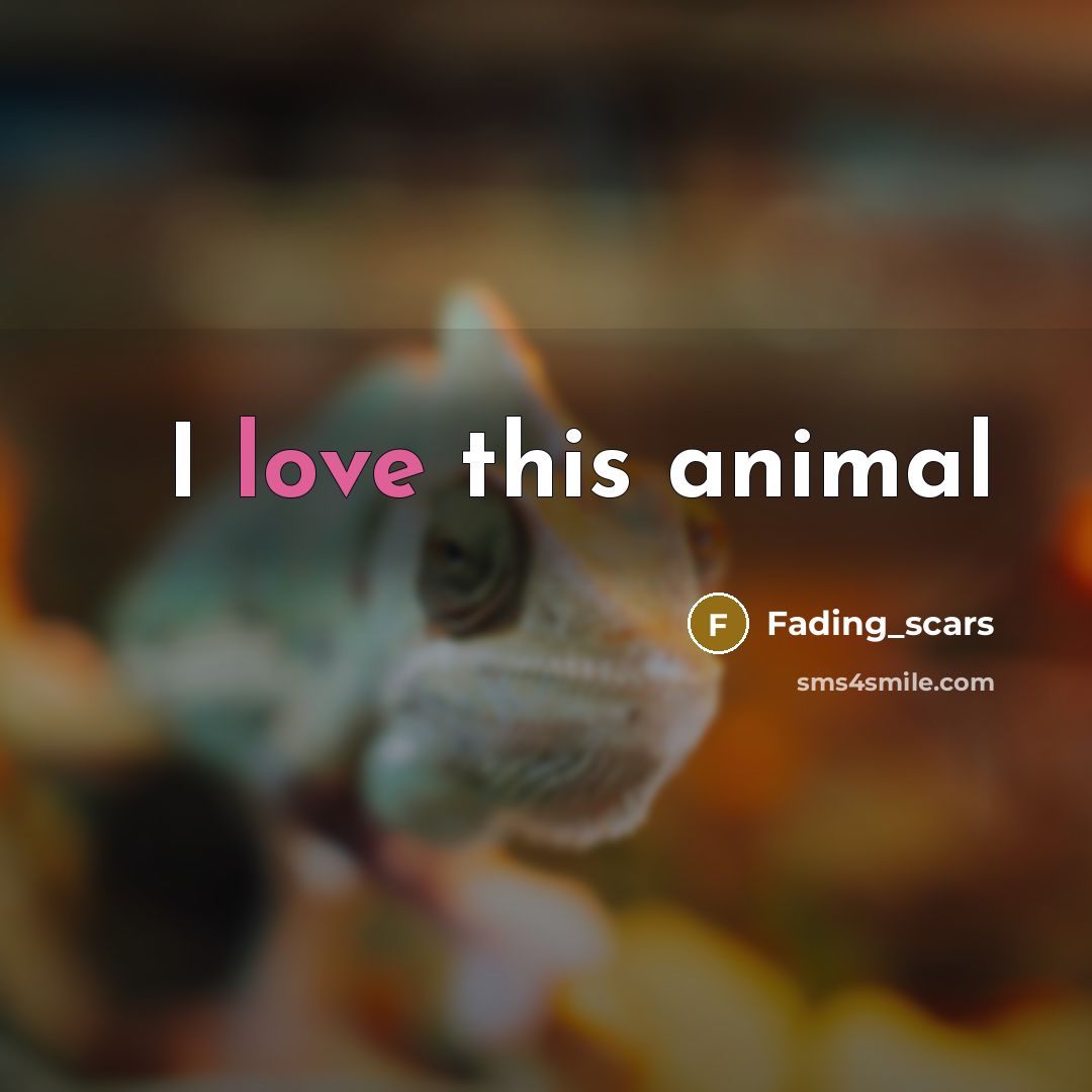 “I love this animal” quote by Fading_scars