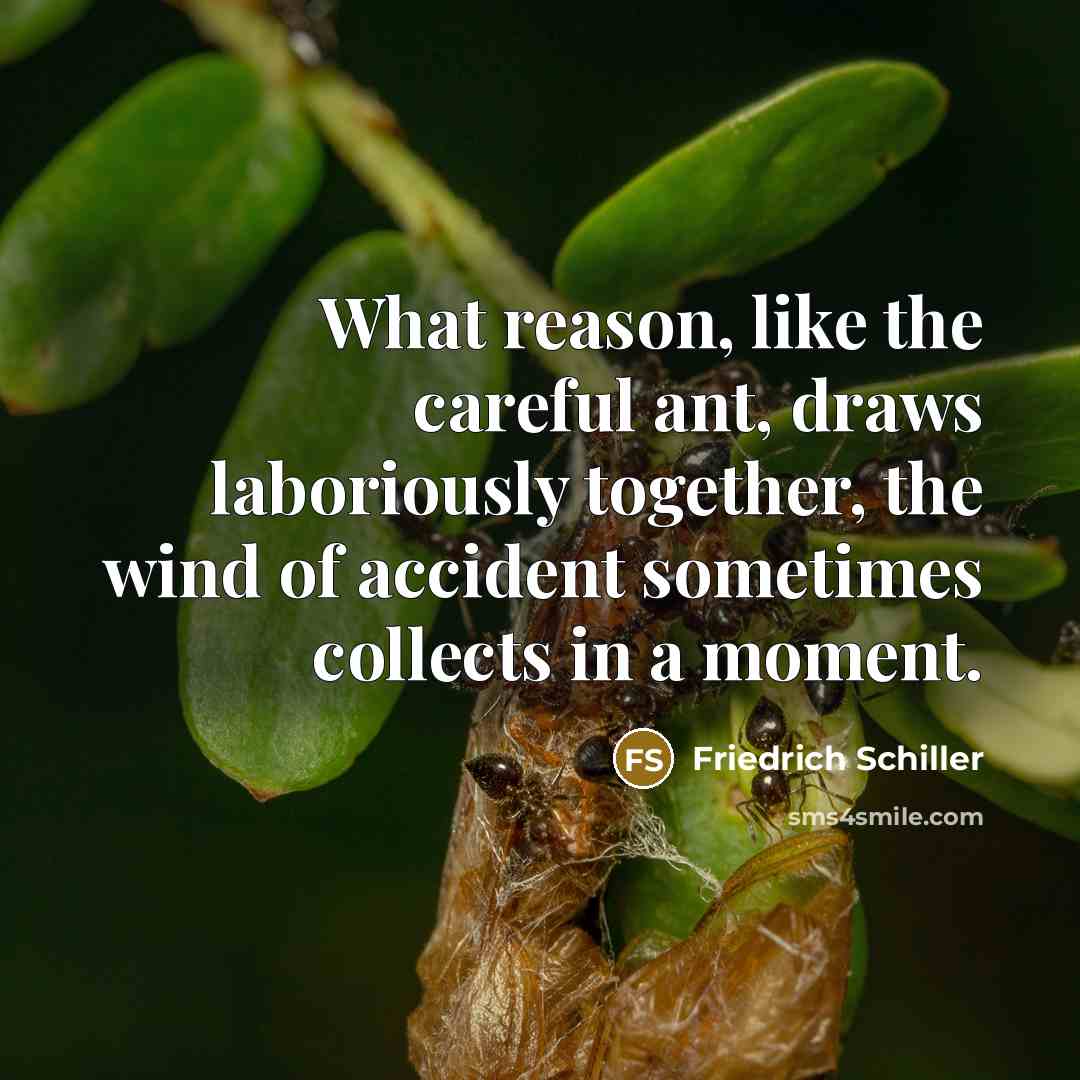 “What reason, like the careful ant, draws laboriously together, the…” quote by Friedrich Schiller