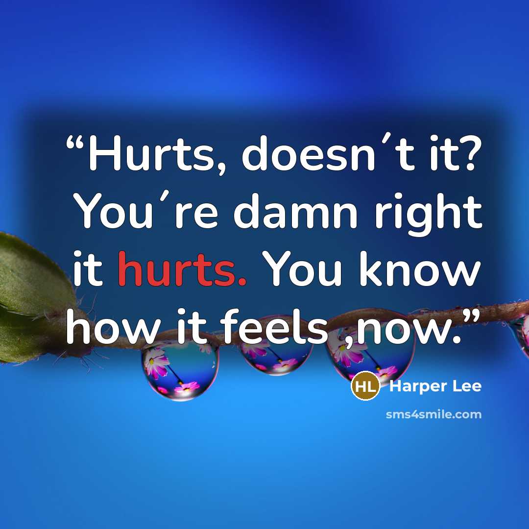 “Hurts, doesn´t it? You´re damn right it hurts. You know how it feels ,now.” quote by Harper Lee