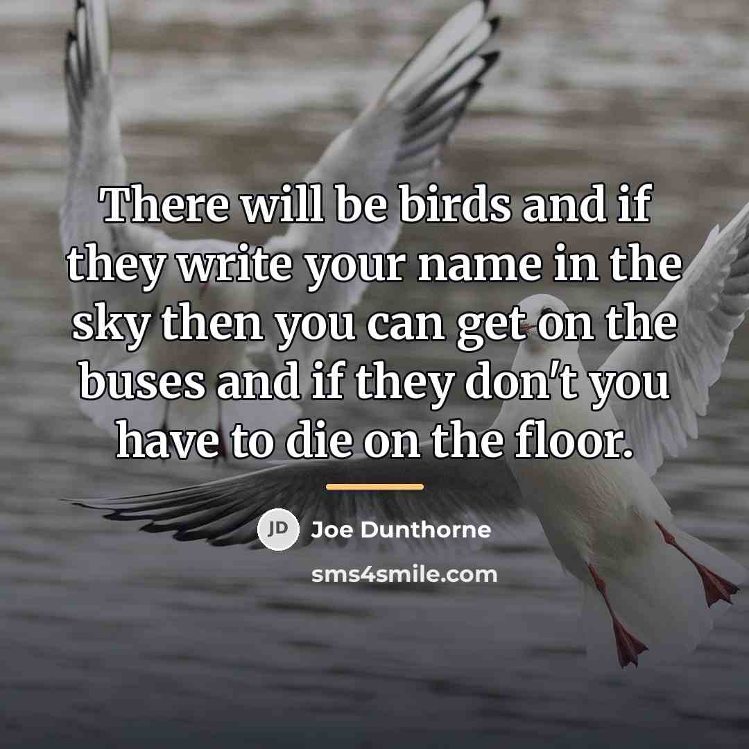“There will be birds and if they write your name…” quote by Joe Dunthorne