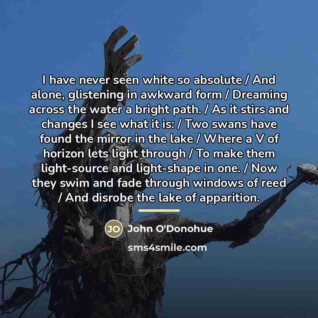 “I have never seen white so absolute / And alone,…” quote by John O'Donohue