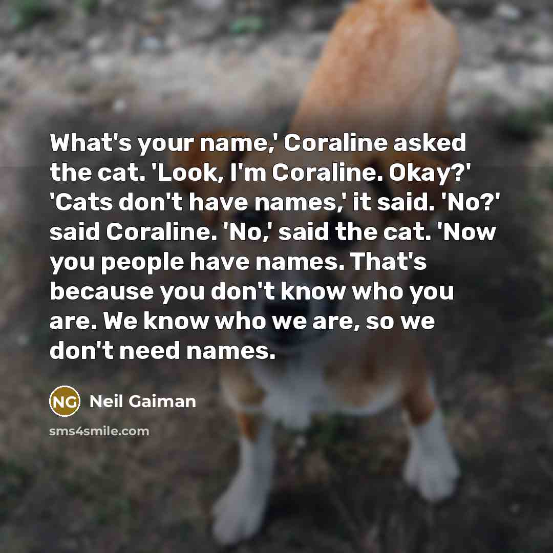 “What's your name,' Coraline asked the cat. 'Look, I'm Coraline.…” quote by Neil Gaiman