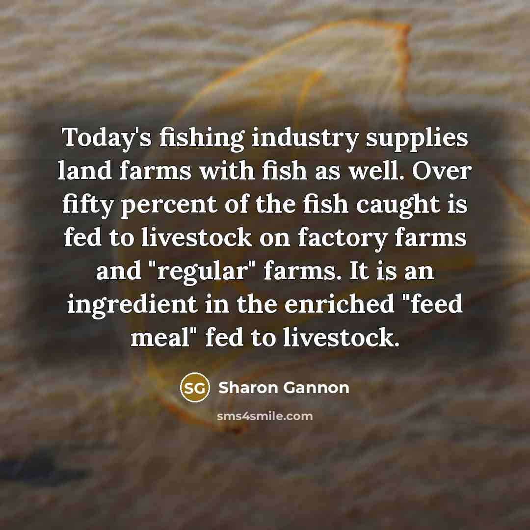 “Today's fishing industry supplies land farms with fish as well.…” quote by Sharon Gannon