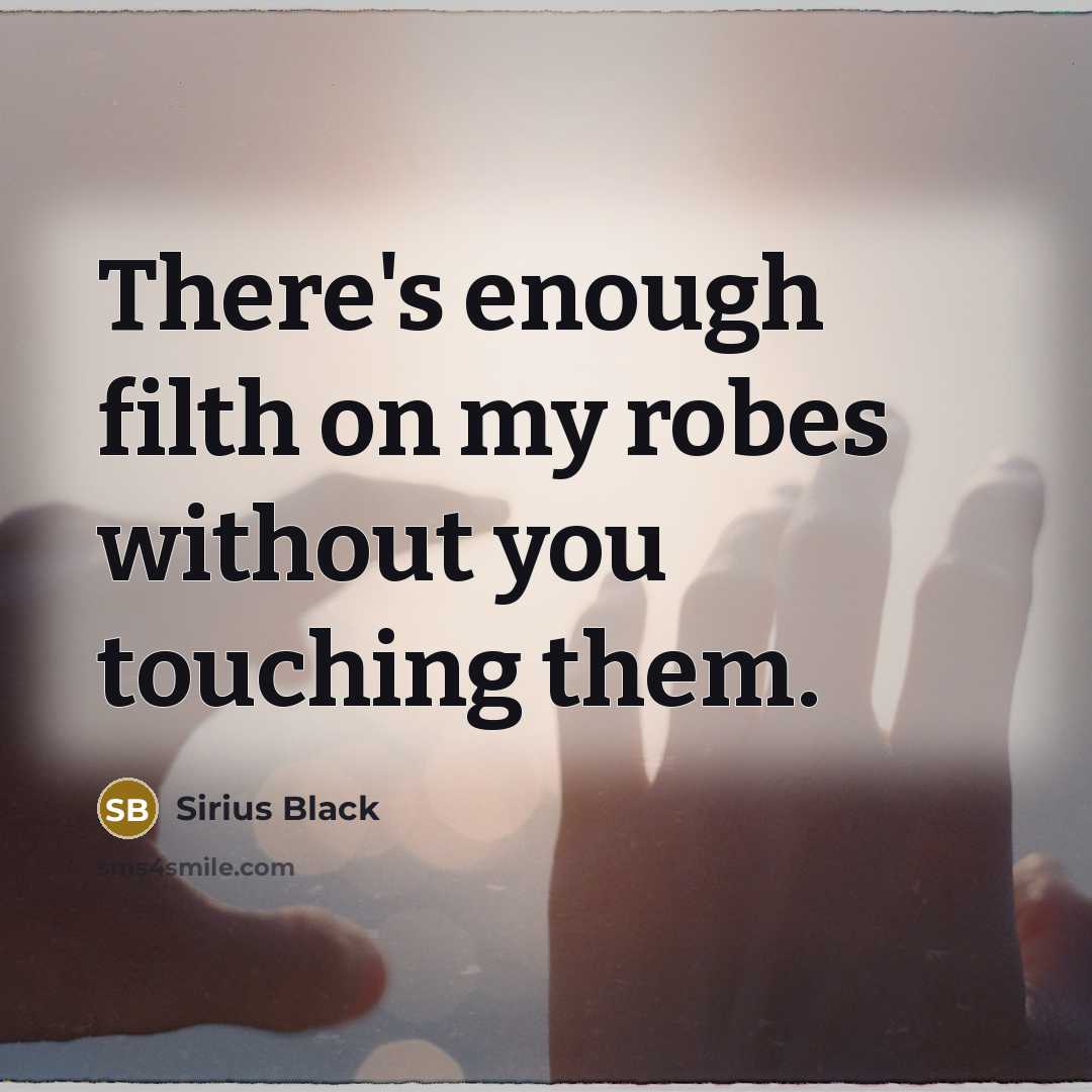 “There's enough filth on my robes without you touching them.…” quote by Sirius Black