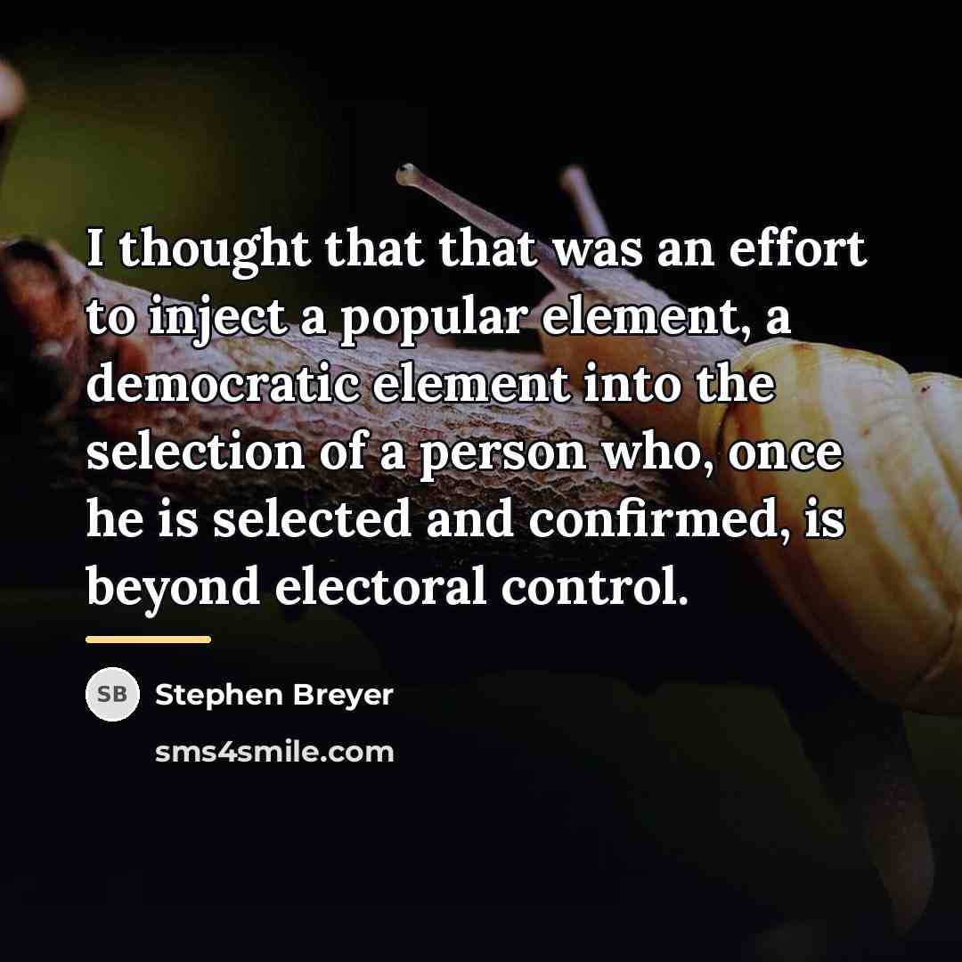 “I thought that that was an effort to inject a…” quote by Stephen Breyer