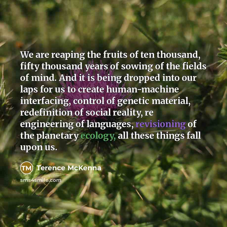 “We are reaping the fruits of ten thousand, fifty thousand…” quote by Terence McKenna