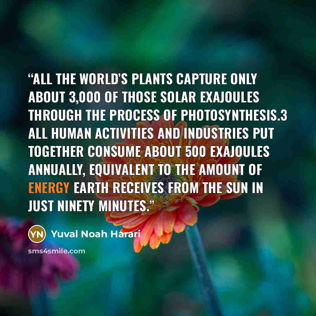 “All the world’s plants capture only about 3,000 of those solar exajoules through the process of photosynthesis.3 All human activities and industries put together consume about 500 exajoules annually, equivalent to the amount of energy earth receives from the sun in just ninety minutes.” quote by Yuval Noah Harari