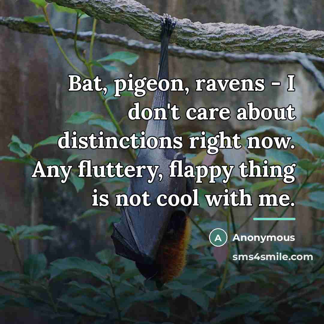 “Bat, pigeon, ravens - I don't care about distinctions right…” quote by Anonymous