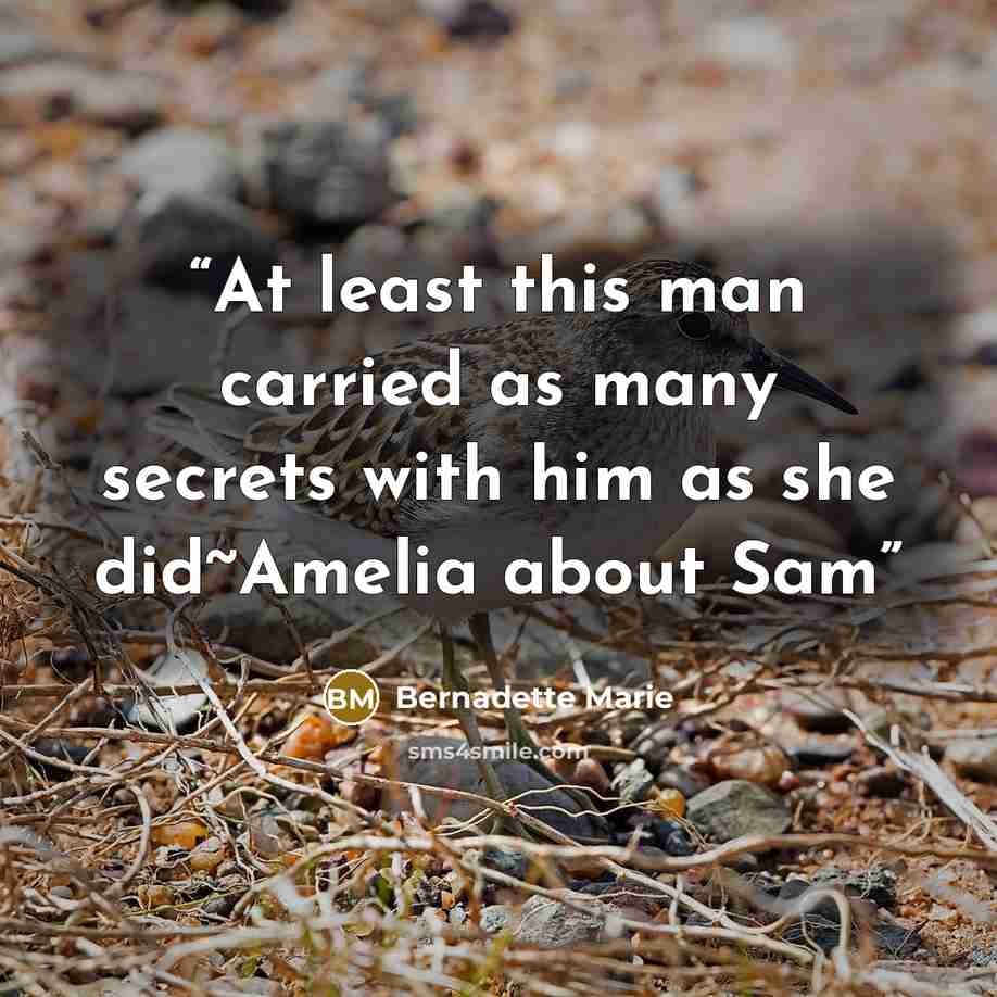 “At least this man carried as many secrets with him as she did~Amelia about Sam” quote by Bernadette Marie