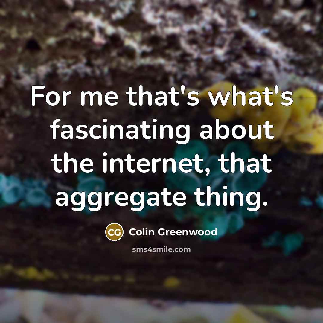 “For me that's what's fascinating about the internet, that aggregate thing.” quote by Colin Greenwood
