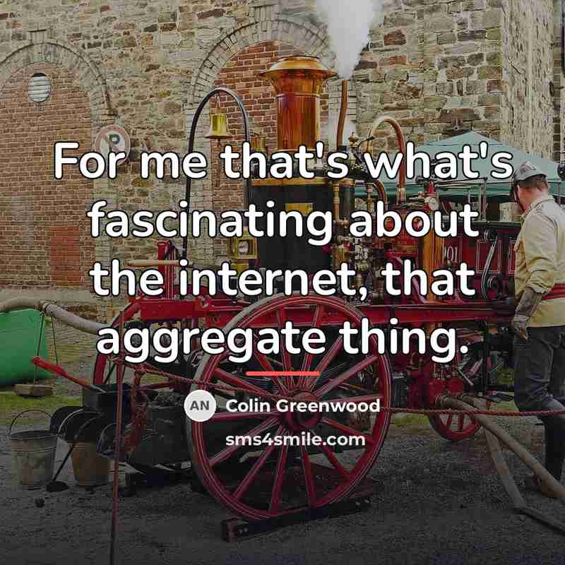 “For me that's what's fascinating about the internet, that aggregate…” quote by Colin Greenwood