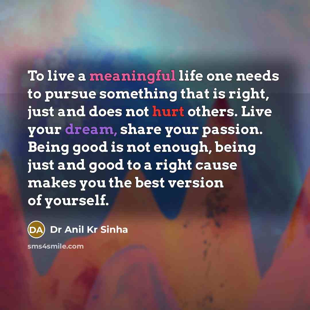 “To live a meaningful life one needs to pursue something…” quote by Dr Anil Kr Sinha