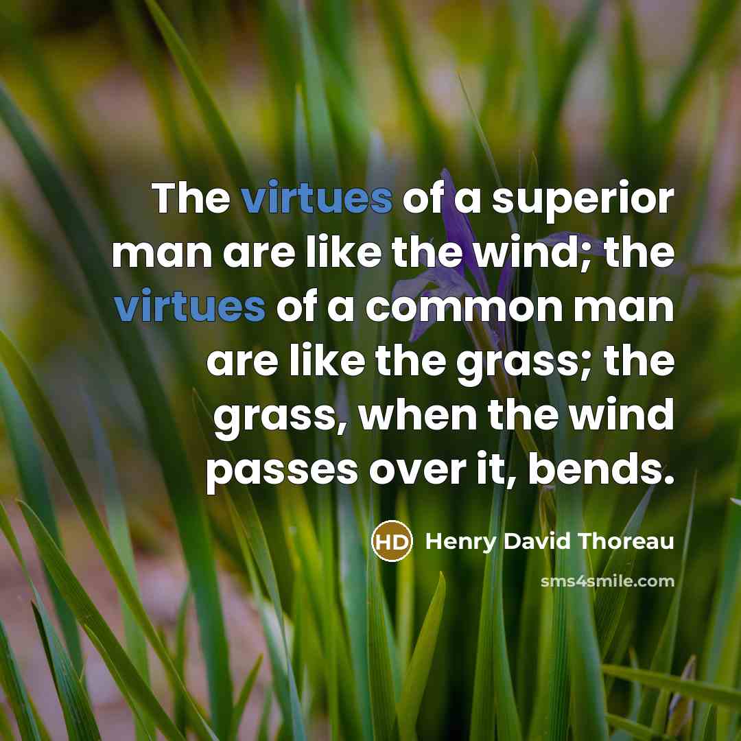 “The virtues of a superior man are like the wind;…” quote by Henry David Thoreau