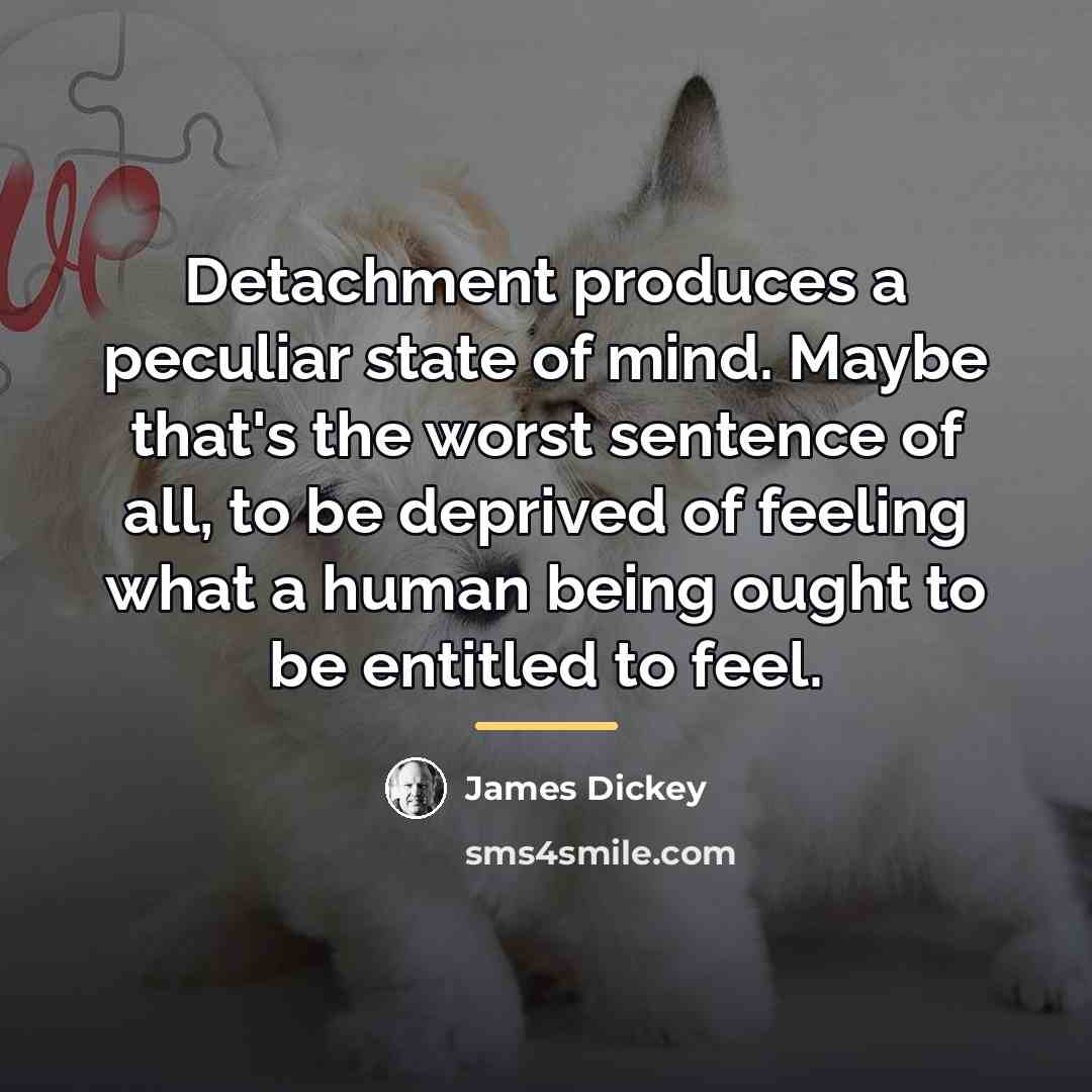 “Detachment produces a peculiar state of mind. Maybe that's the…” quote by James Dickey