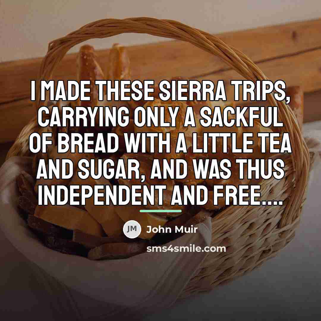 “I made these Sierra trips, carrying only a sackful of…” quote by John Muir