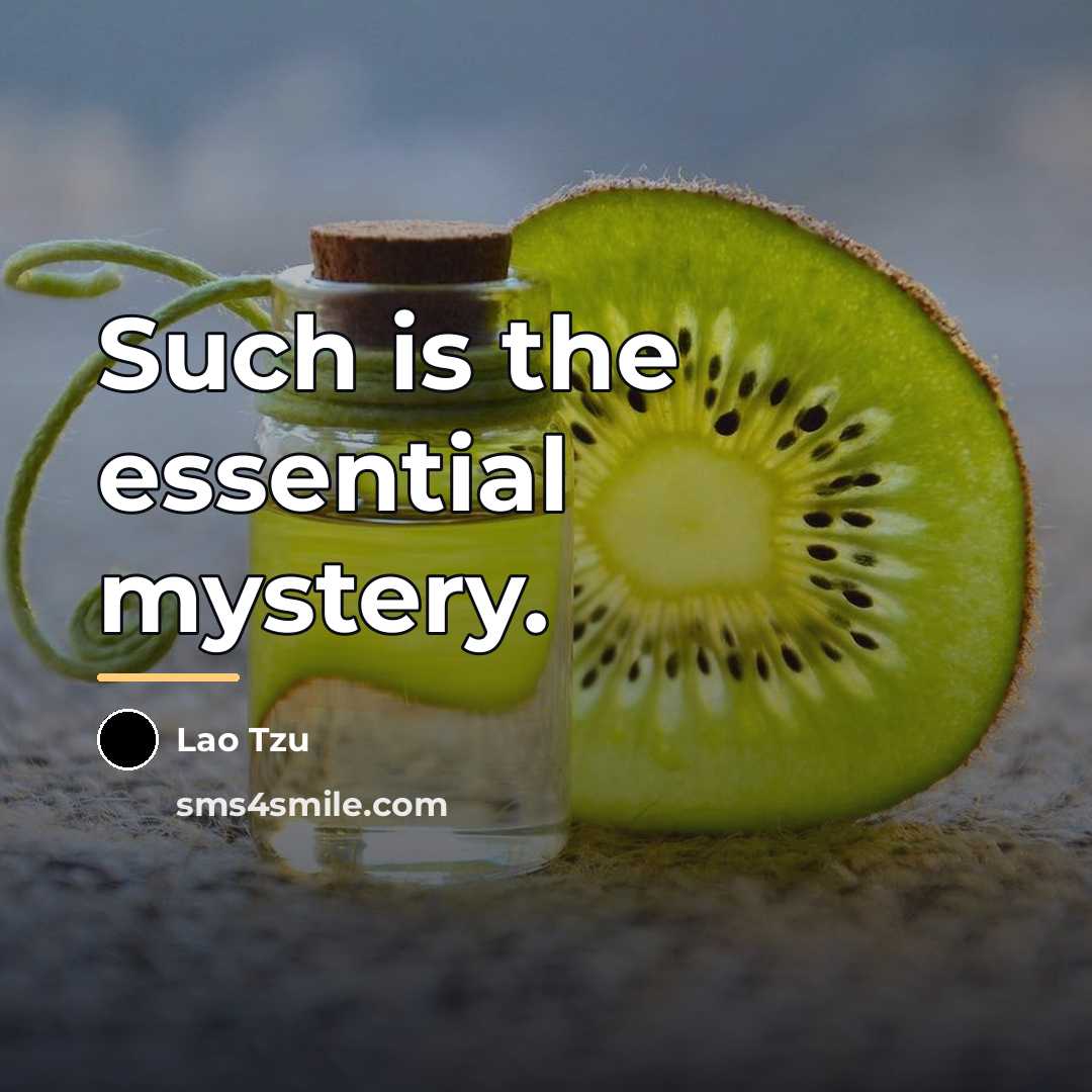 “Such is the essential mystery.…” quote by Lao Tzu