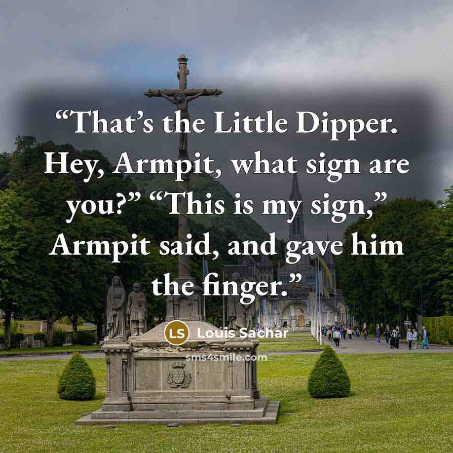 “That’s the Little Dipper. Hey, Armpit, what sign are you?” “This is my sign,” Armpit said, and gave him the finger.” quote by Louis Sachar