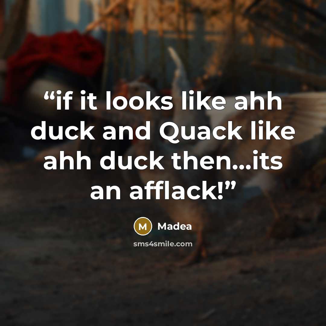 “if it looks like ahh duck and Quack like ahh duck then…its an afflack!” quote by Madea