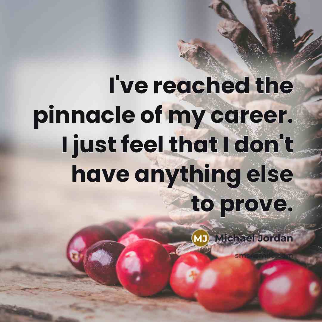 “I've reached the pinnacle of my career. I just feel…” quote by Michael Jordan