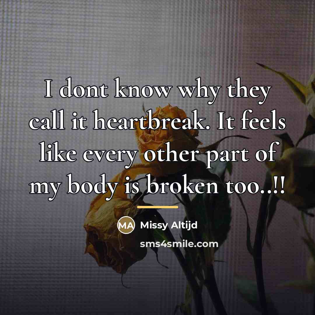 “I dont know why they call it heartbreak. It feels…” quote by Anonymous