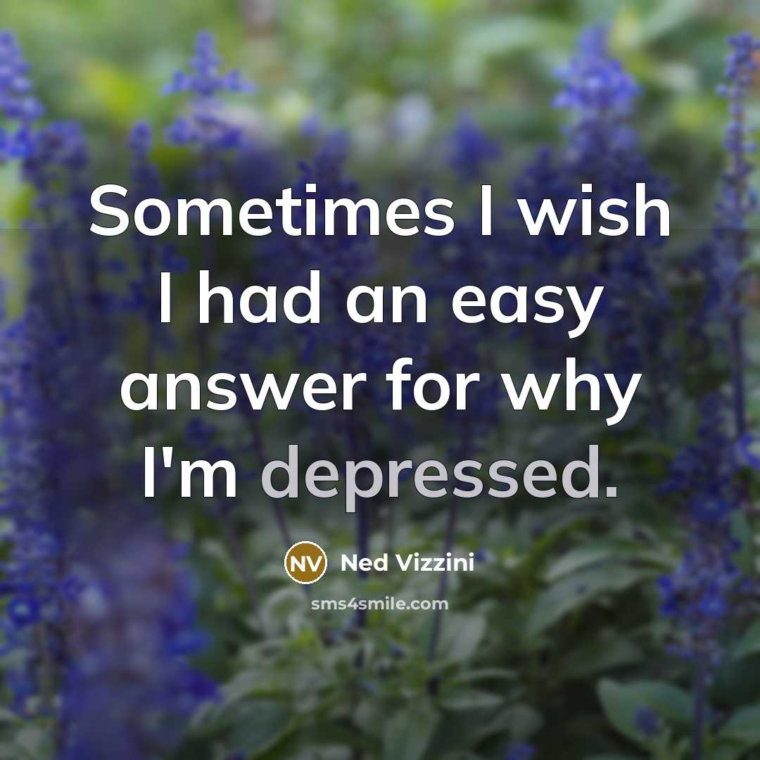 “Sometimes I wish I had an easy answer for why…” quote by Ned Vizzini