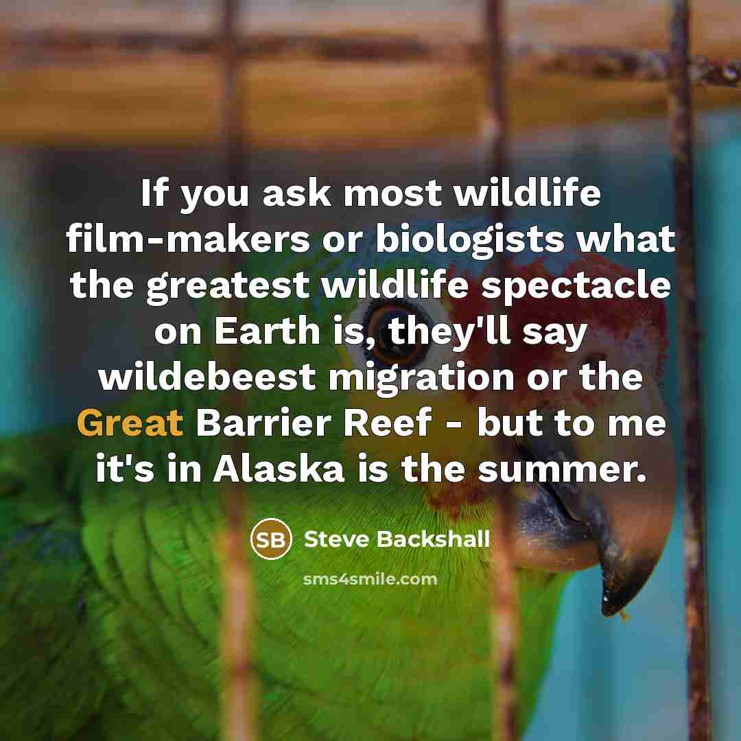 “If you ask most wildlife film-makers or biologists what the…” quote by Steve Backshall