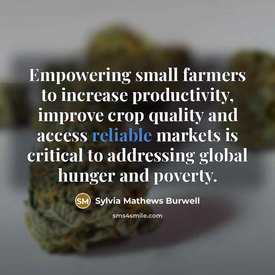 “Empowering small farmers to increase productivity, improve crop quality and…” quote by Sylvia Mathews Burwell