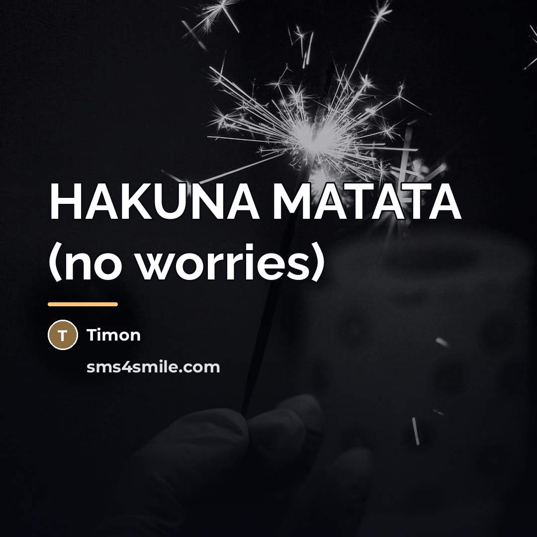 “HAKUNA MATATA (no worries)…” quote by Anonymous