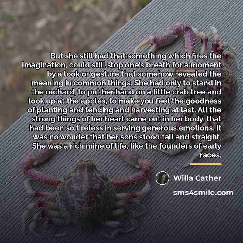 “But she still had that something which fires the imagination,…” quote by Willa Cather