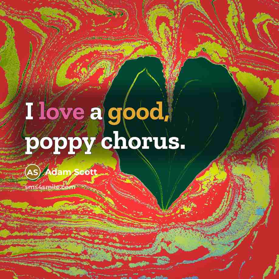 “I love a good, poppy chorus.…” quote by Adam Scott