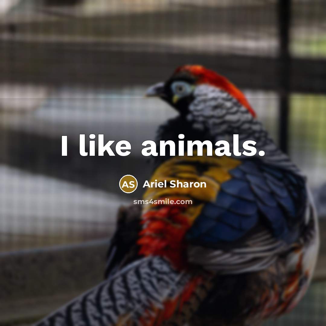 “I like animals.” quote by Ariel Sharon