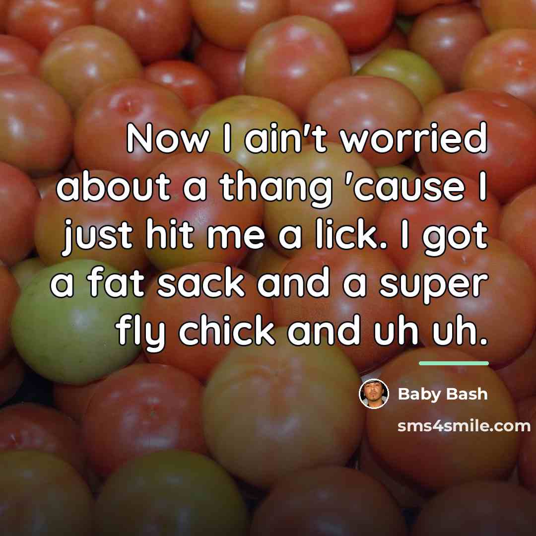 “Now I ain't worried about a thang 'cause I just…” quote by Baby Bash