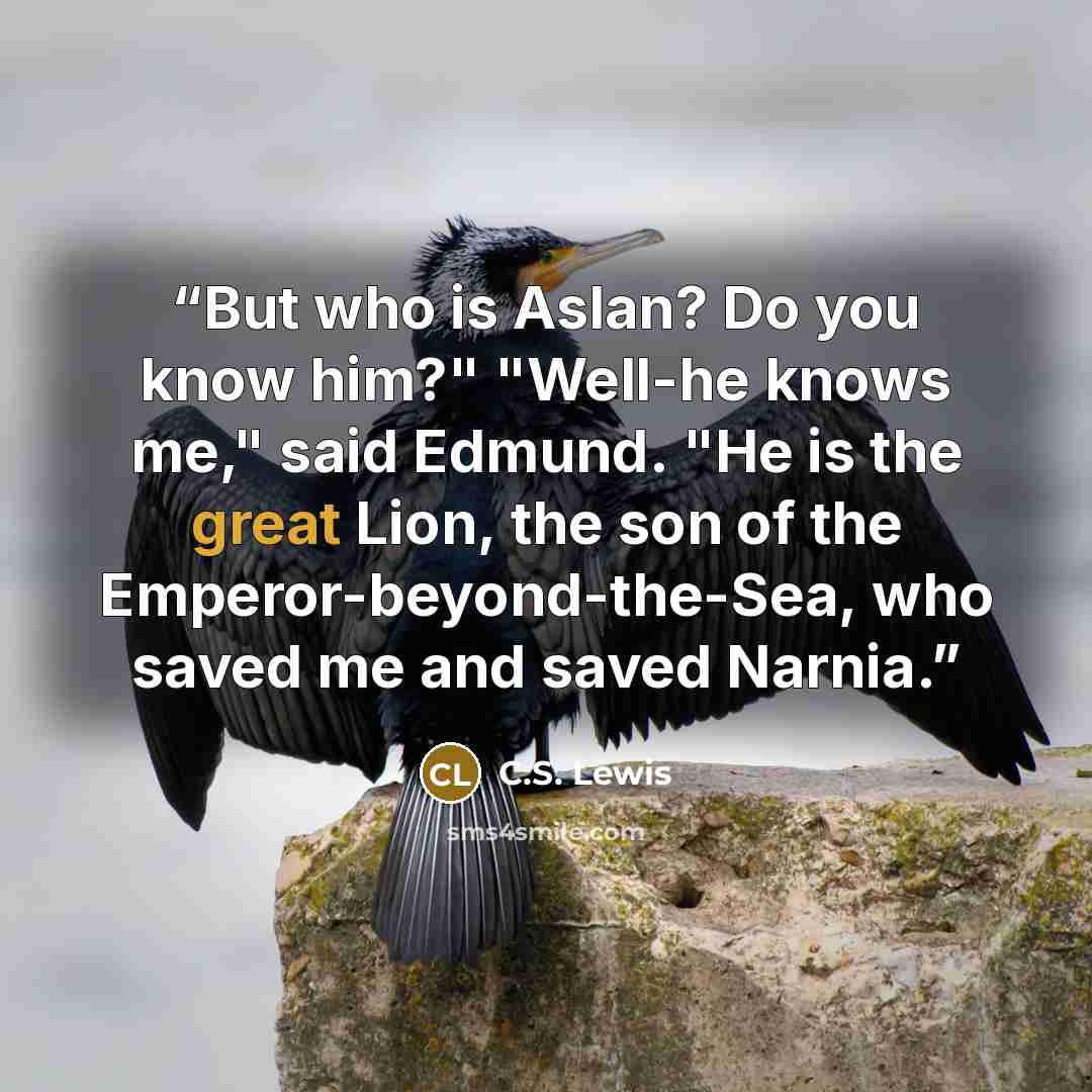 “But who is Aslan? Do you know him?" "Well-he knows me," said Edmund. "He is the great Lion, the son of the Emperor-beyond-the-Sea, who saved me and saved Narnia.” quote by C.S. Lewis